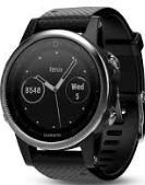 fenix® 5S Silver with Black Band